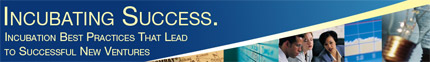 Incubating Success Graphic Incubating Success Graphic