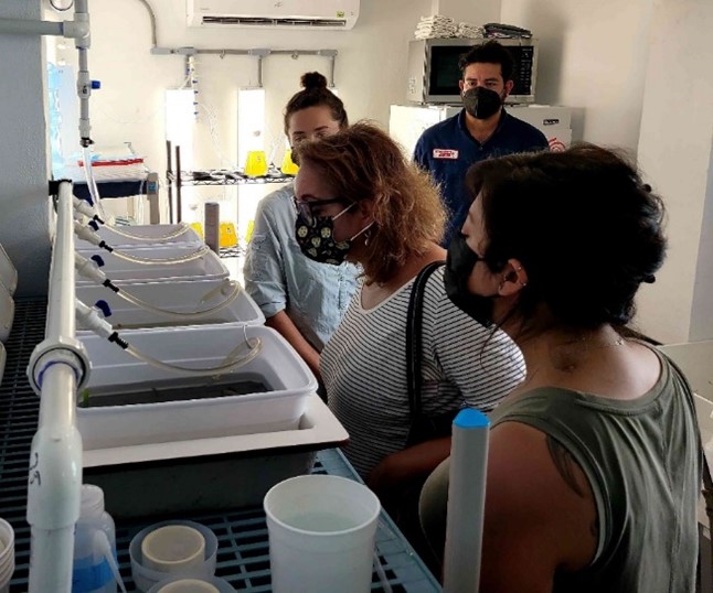 Assistant Secretary Castillo tours the conch lab at Conservacion Consciencia